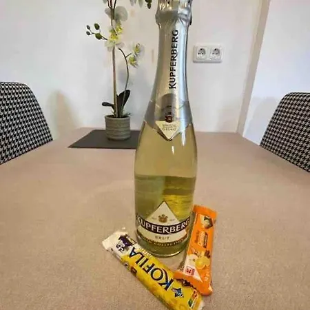 Ferienwohnung-edna-traunkirchen Apartment Traunkirchen